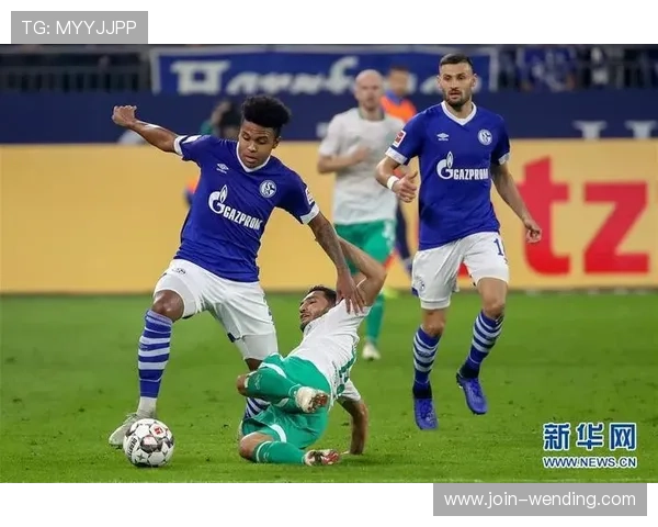 西米德兰兹郡俱乐部的传奇之路与现代足球魅力全景探索